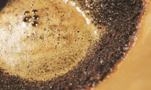Nahaufnahme von frisch gebrühtem Filterkaffee mit cremigem Schaum und Kaffeesatz. So entsteht der köstliche Geschmack von Filterkaffee.