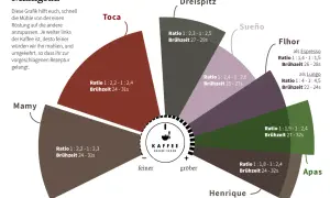 Grafik zeigt Mahlgrad für Kaffee. Je feiner der Mahlgrad, desto kürzer die Brühzeit. Der Kaffee-Mahlgrad beeinflusst den Geschmack.