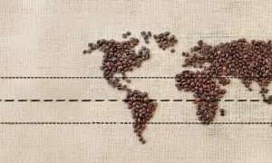 Weltkarte aus Kaffeebohnen. Wo welches Land produziert den meisten Kaffee? Die Antwort liegt in den tropischen Regionen.