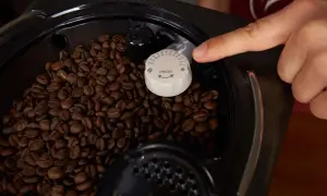 Finger stellt den Mahlgrad am Kaffeevollautomaten ein. Zahlreiche Kaffeebohnen sind im Behälter sichtbar.