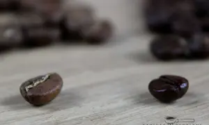 Zwei Kaffeebohnen auf Holz: eine hell geröstete, die andere dunkel. Der blonde roast ist perfekt für einen leichten Kaffee.