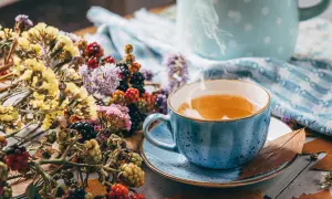 Dampfender Tee in blauer Tasse, umgeben von Beeren und Trockenblumen. Ein wohltuender Genuss, vielleicht bei Bronchitis.