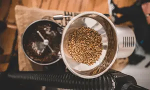 Rösttrommel mit grünen Kaffeebohnen und gerösteten Bohnen. Der Prozess der Kaffee Aufbereitung beginnt.