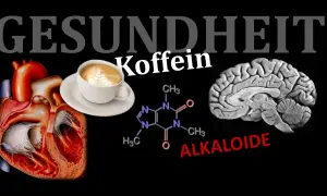 Herz, Gehirn, Koffein-Molekül und eine Tasse Kaffee. Ist Espresso gesund? Die Grafik thematisiert die Wirkung von Koffein auf Körper und Geist.