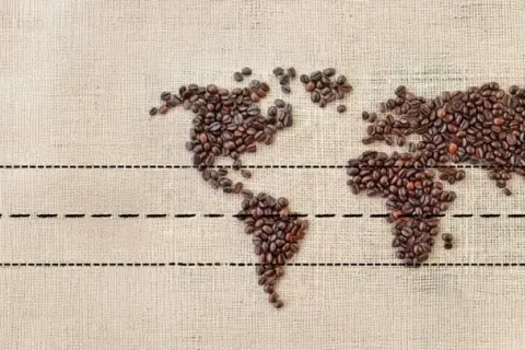 Weltkarte aus Kaffeebohnen. Wo welches Land produziert den meisten Kaffee? Die Antwort liegt in den tropischen Regionen.