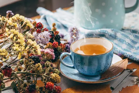 Dampfender Tee in blauer Tasse, umgeben von Beeren und Trockenblumen. Ein wohltuender Genuss, vielleicht bei Bronchitis.