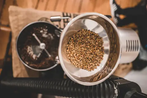 Rösttrommel mit grünen Kaffeebohnen und gerösteten Bohnen. Der Prozess der Kaffee Aufbereitung beginnt.