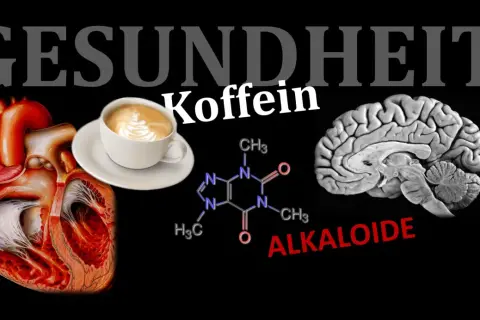 Herz, Gehirn, Koffein-Molekül und eine Tasse Kaffee. Ist Espresso gesund? Die Grafik thematisiert die Wirkung von Koffein auf Körper und Geist.