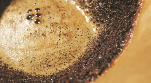 Nahaufnahme von frisch gebrühtem Filterkaffee mit cremigem Schaum und Kaffeesatz. So entsteht der köstliche Geschmack von Filterkaffee.