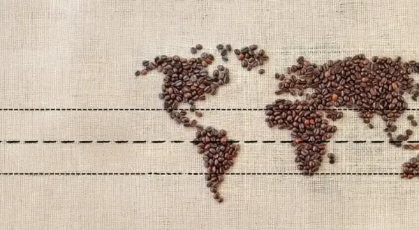 Weltkarte aus Kaffeebohnen. Wo welches Land produziert den meisten Kaffee? Die Antwort liegt in den tropischen Regionen.