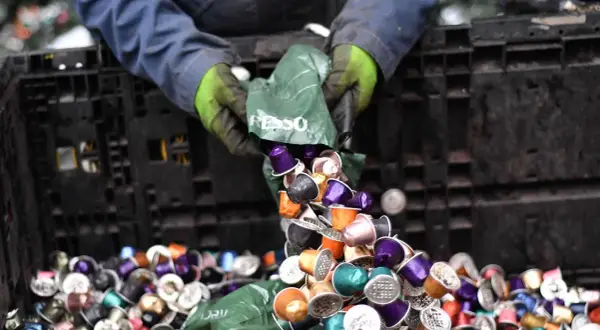 Hände in Handschuhen kippen bunte Nespresso-Kapseln aus einer grünen Tüte in einen schwarzen Behälter. Die fachgerechte Entsorgung von Nespresso-Kapseln ist wichtig.
