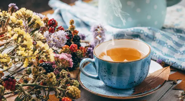 Dampfender Tee in blauer Tasse, umgeben von Beeren und Trockenblumen. Ein wohltuender Genuss, vielleicht bei Bronchitis.
