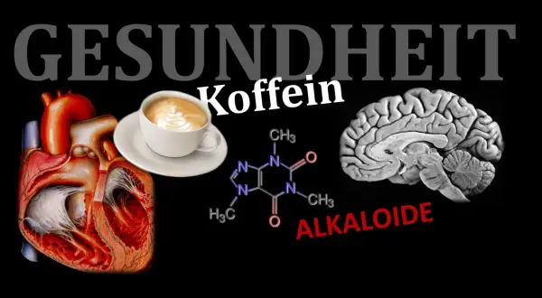Herz, Gehirn, Koffein-Molekül und eine Tasse Kaffee. Ist Espresso gesund? Die Grafik thematisiert die Wirkung von Koffein auf Körper und Geist.