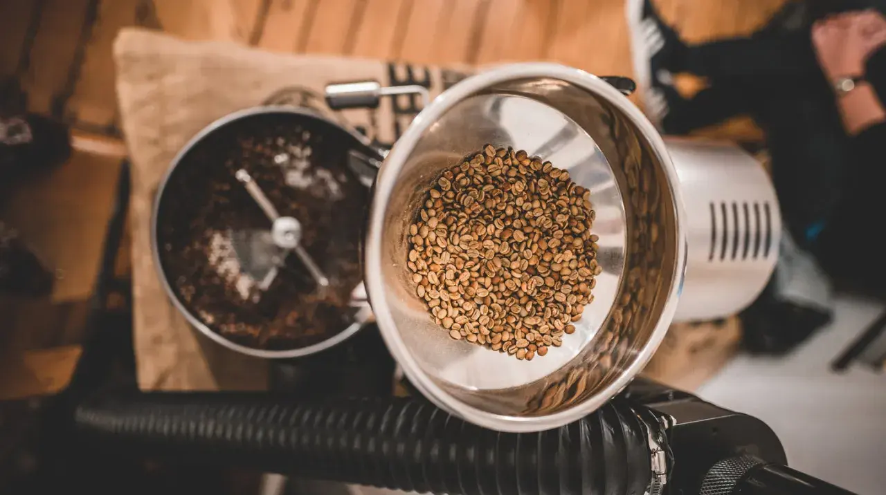 Rösttrommel mit grünen Kaffeebohnen und gerösteten Bohnen. Der Prozess der Kaffee Aufbereitung beginnt.