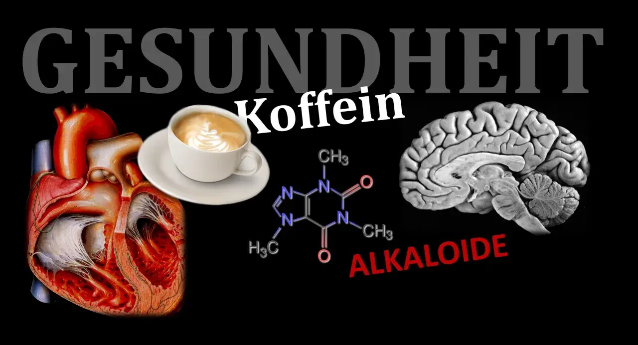 Herz, Gehirn, Koffein-Molekül und eine Tasse Kaffee. Ist Espresso gesund? Die Grafik thematisiert die Wirkung von Koffein auf Körper und Geist.