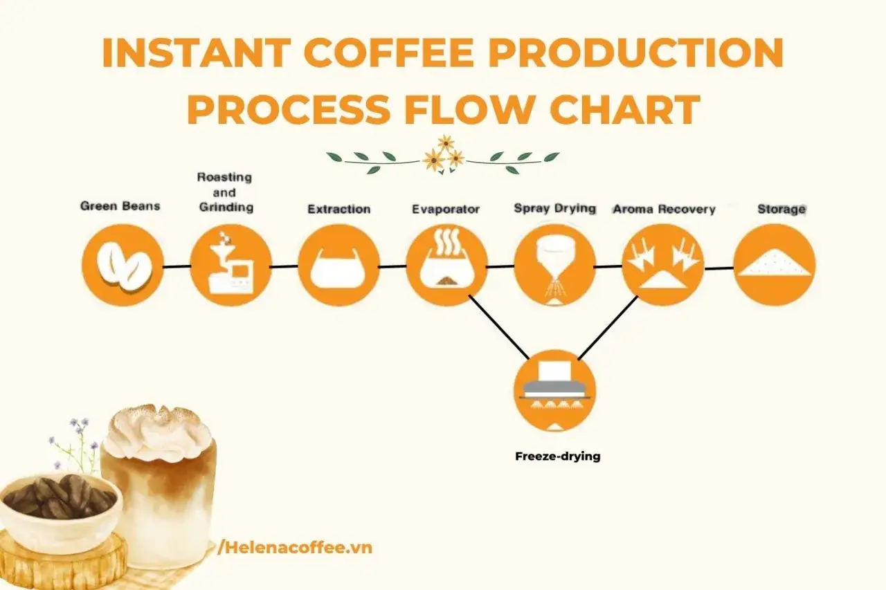 Flussdiagramm zur Herstellung von Instantkaffee: Von gr&uuml;nen Bohnen &uuml;ber R&ouml;stung, Extraktion, Verdampfung, Spr&uuml;htrocknung oder Gefriertrocknung bis zur Lagerung.