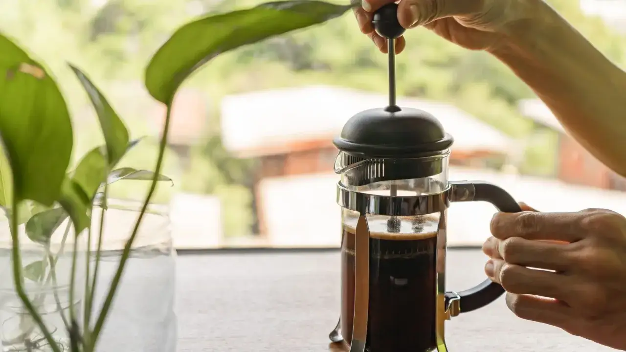 Eine Hand drückt den Stempel einer French Press herunter. Die ideale Ziehzeit für French Press Kaffee ist 4 Minuten.
