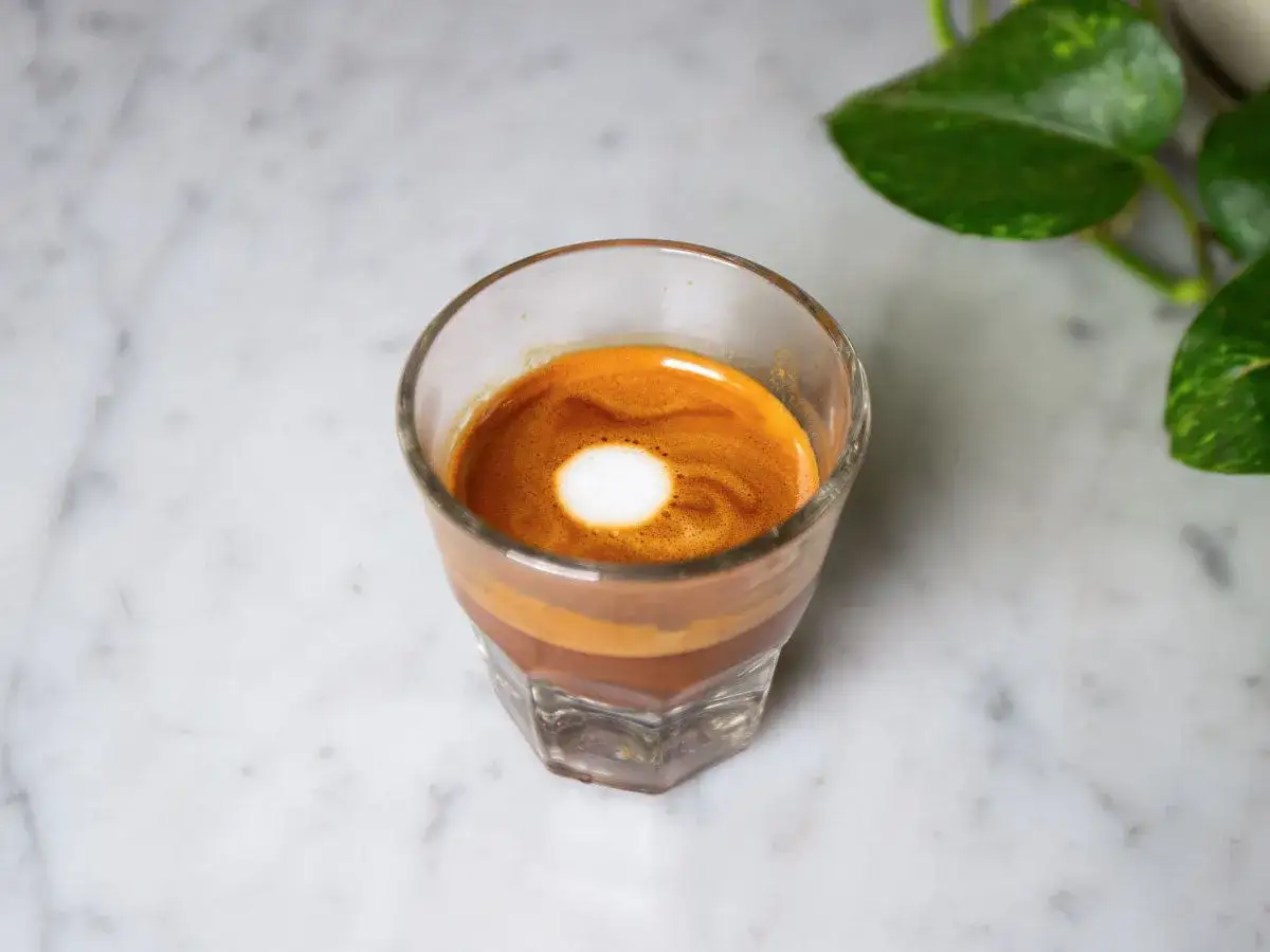 Ein Espresso Macchiato mit cremigem Schaum auf einer Marmorplatte, daneben gr&uuml;ne Bl&auml;tter.