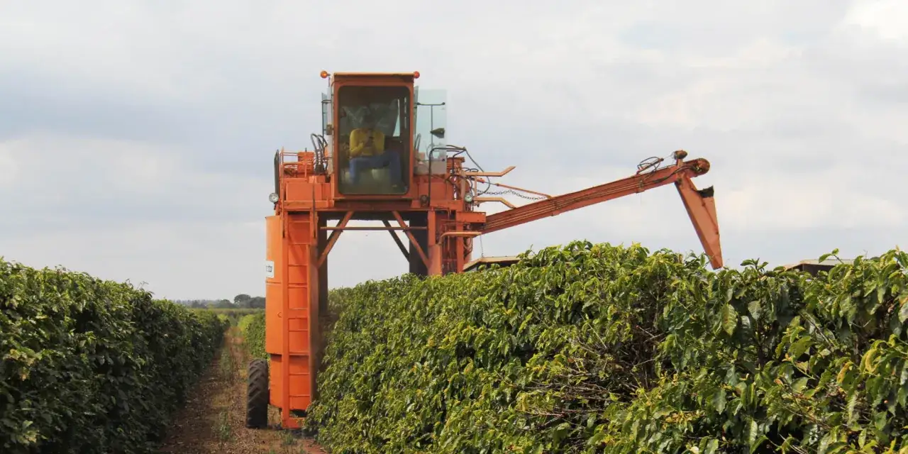 Eine orangefarbene Kaffeemaschine erntet Kaffeeplantagen. Dieses Bild erinnert daran, welches Land produziert den meisten Kaffee, nämlich Brasilien.