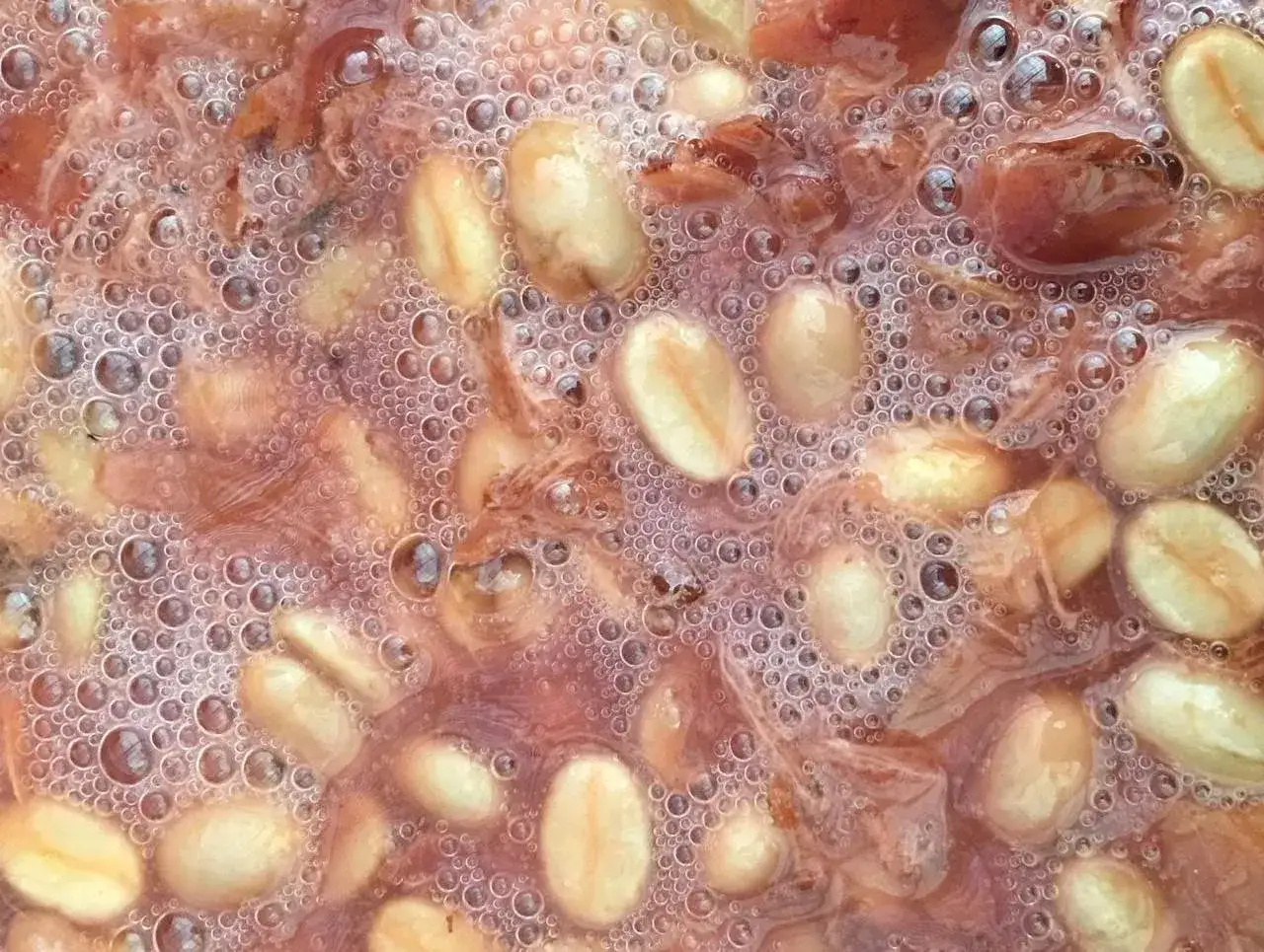 Kaffeebohnen in einer r&ouml;tlichen Fl&uuml;ssigkeit, die fermentiert. Bl&auml;schen steigen auf und umgeben die Bohnen.