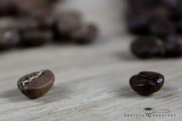 Zwei Kaffeebohnen auf Holz: eine hell geröstete, die andere dunkel. Der blonde roast ist perfekt für einen leichten Kaffee.
