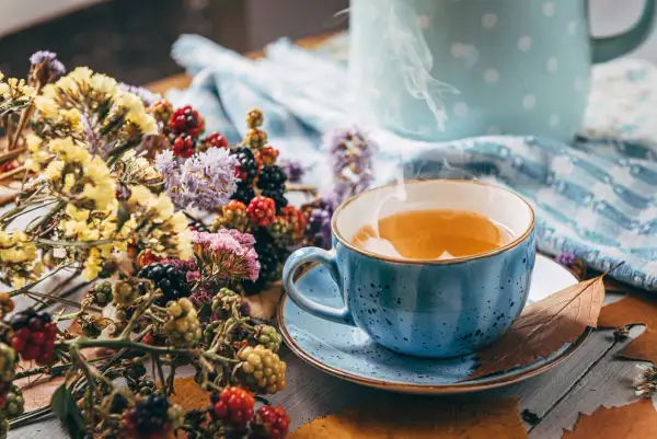 Dampfender Tee in blauer Tasse, umgeben von Beeren und Trockenblumen. Ein wohltuender Genuss, vielleicht bei Bronchitis.